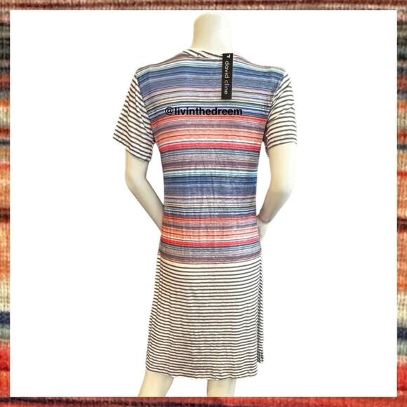 NWT David Cline V-Neck Short Sleeve T-Shirt Dress SZ Small Stripe $119 - Picture 6 of 14